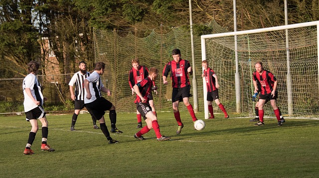 但也为各方 但也为各方