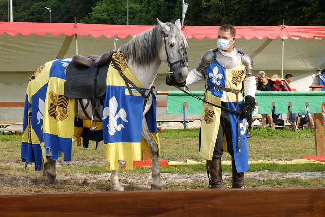 往是球队提 往是球队提