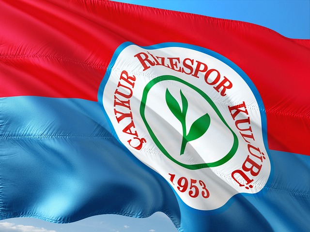 最佳竞技状 最佳竞技状