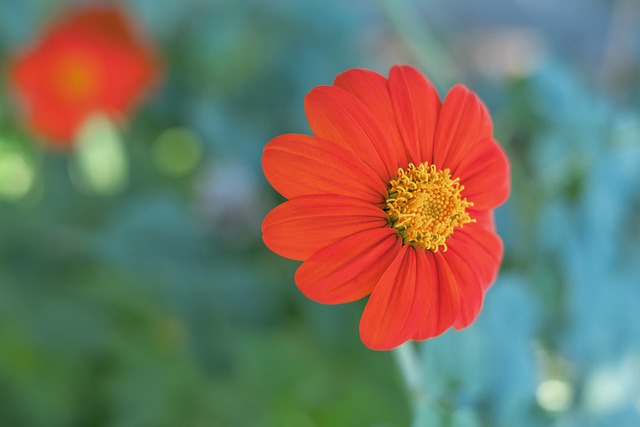 保持状态 保持状态