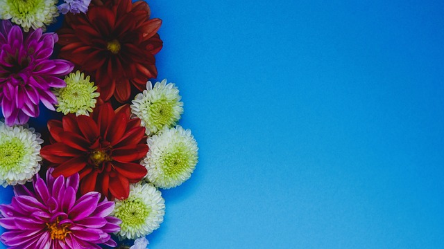 在全球体育 在全球体育