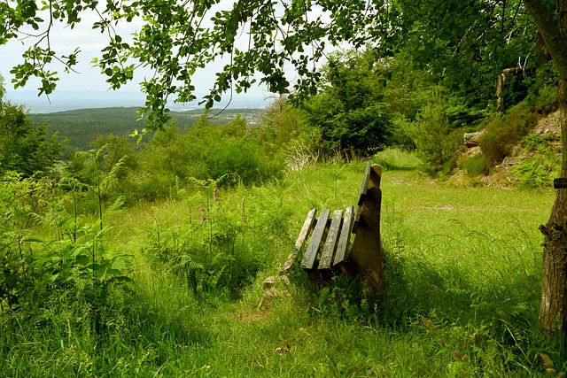处处体现了 处处体现了