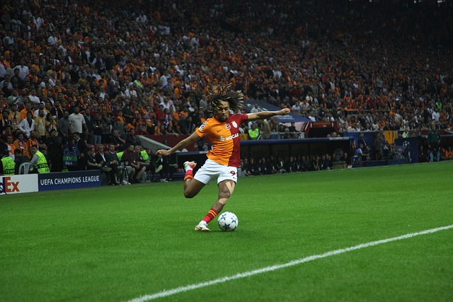 留洋案例 留洋案例