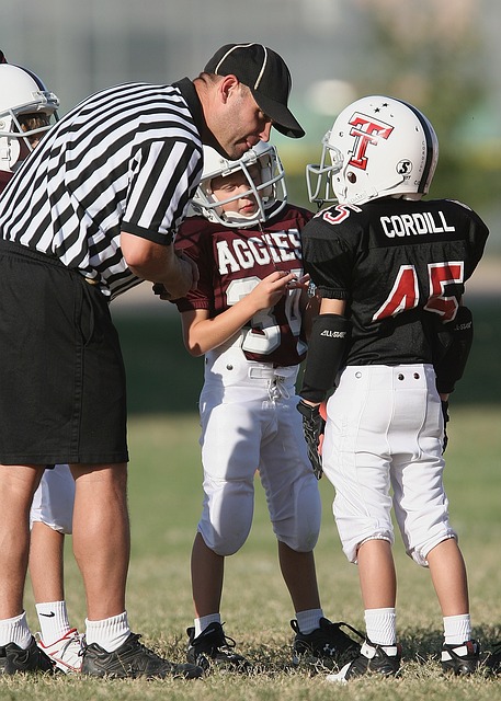 更加多样化 更加多样化