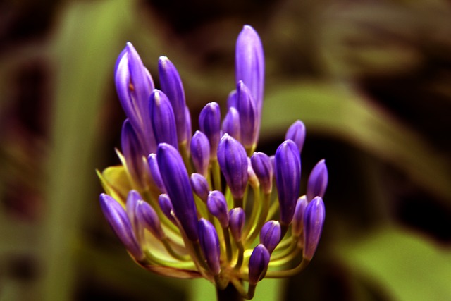 动员选材体 动员选材体