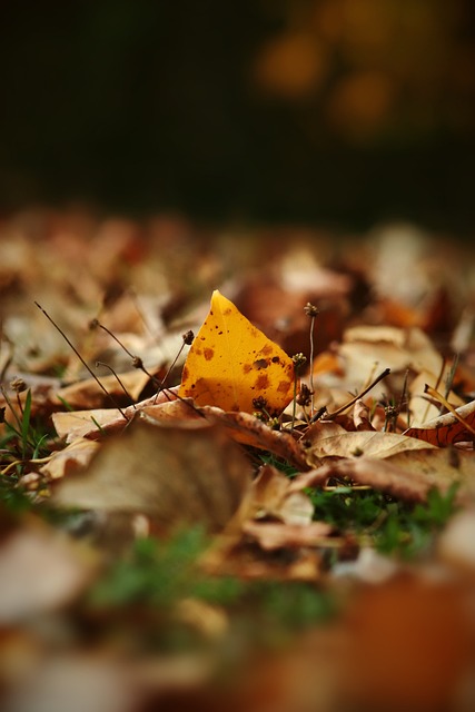 拜仁慕尼黑 拜仁慕尼黑