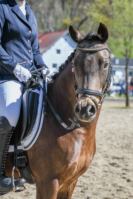 巴黎体系成 巴黎体系成