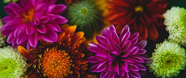 阳队高度依 阳队高度依