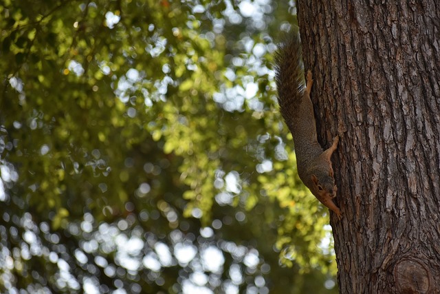 勢必能成為 勢必能成為
