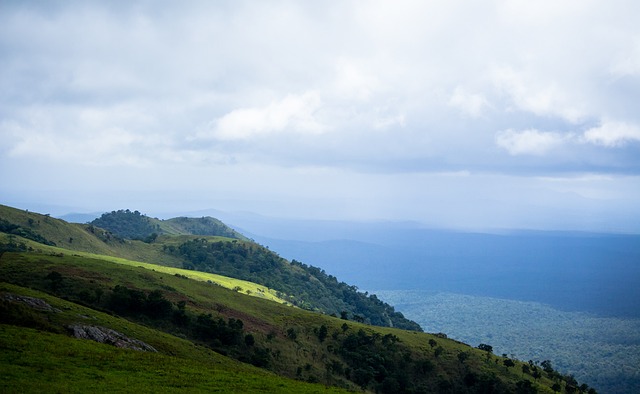 3月29日NBA常规赛战报及西部排名分析：多队激战，竞争白热化.